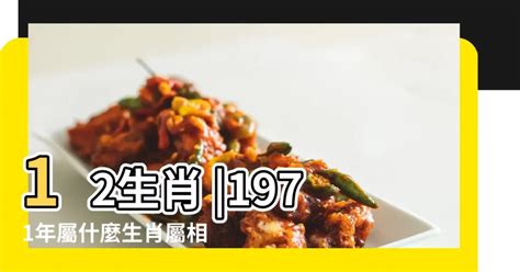 1971年屬什麼生肖|1971年屬什麼生肖